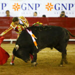 León (México) - Sábado 19 de enero de 2019 - Corrida de toros