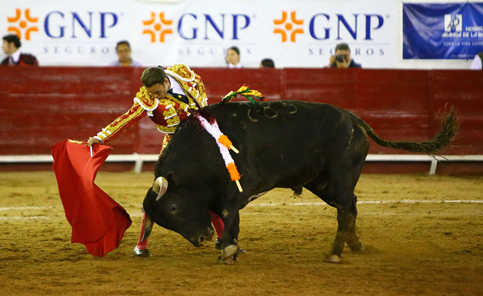 León (México) - Sábado 19 de enero de 2019 - Corrida de toros