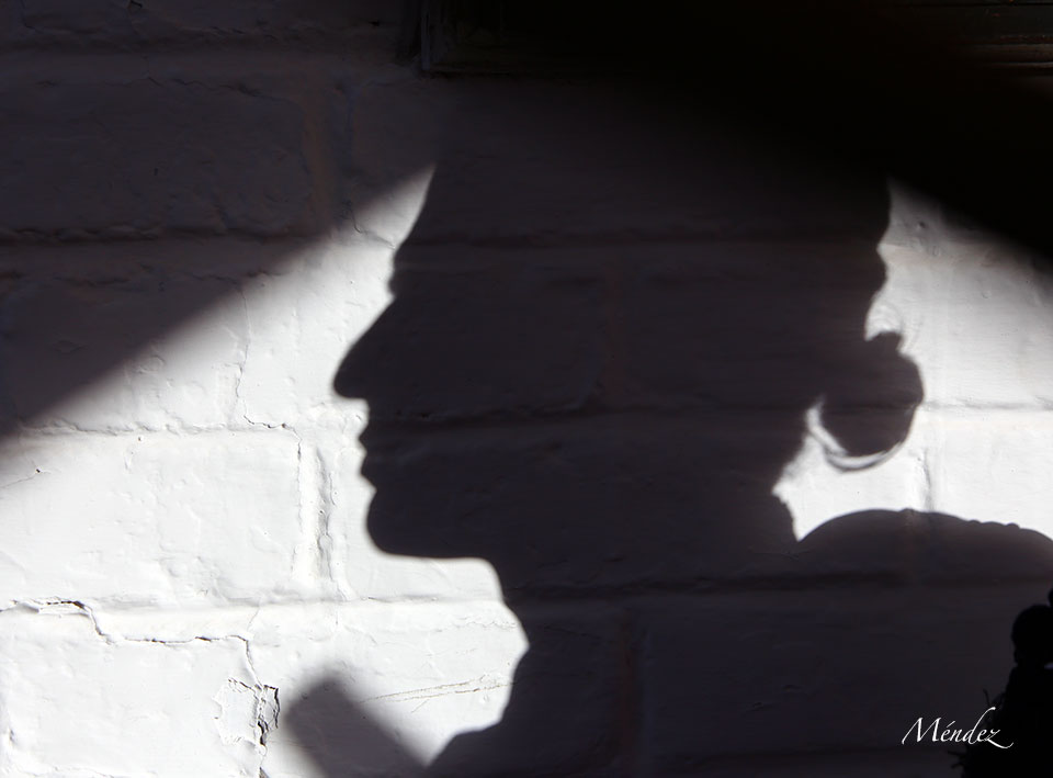 León (México). Corrida Cervantina. 26 de enero de 2019