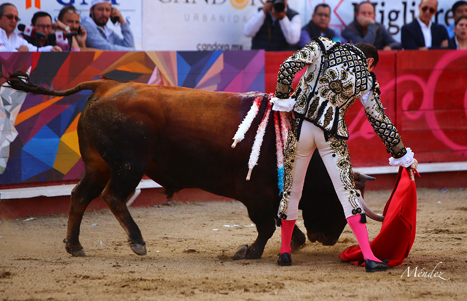León (México). Corrida Cervantina. 26 de enero de 2019