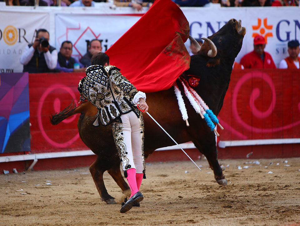 León (México). Corrida Cervantina. 26 de enero de 2019