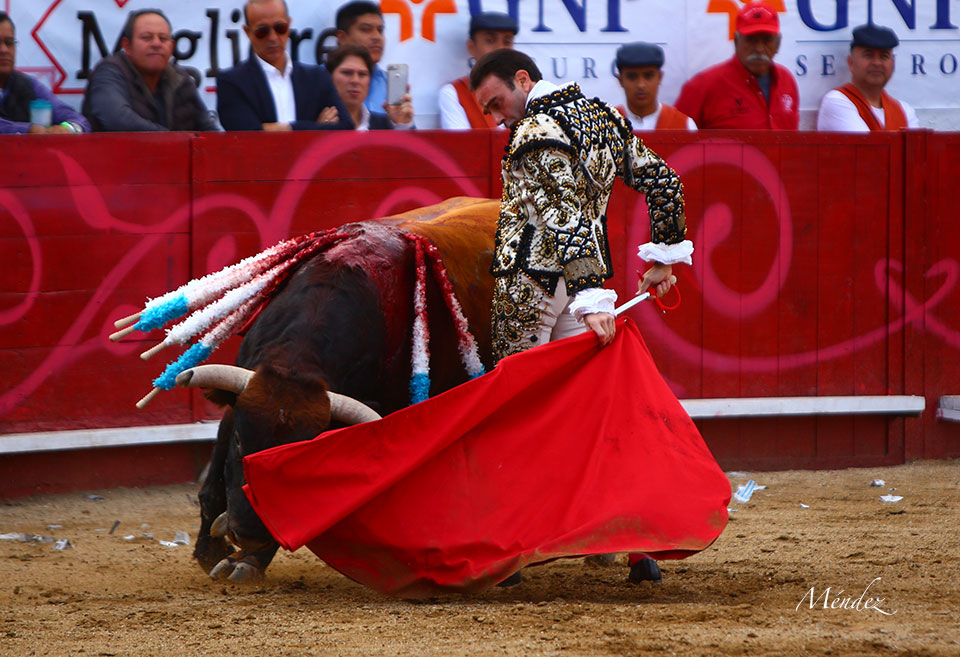 León (México). Corrida Cervantina. 26 de enero de 2019