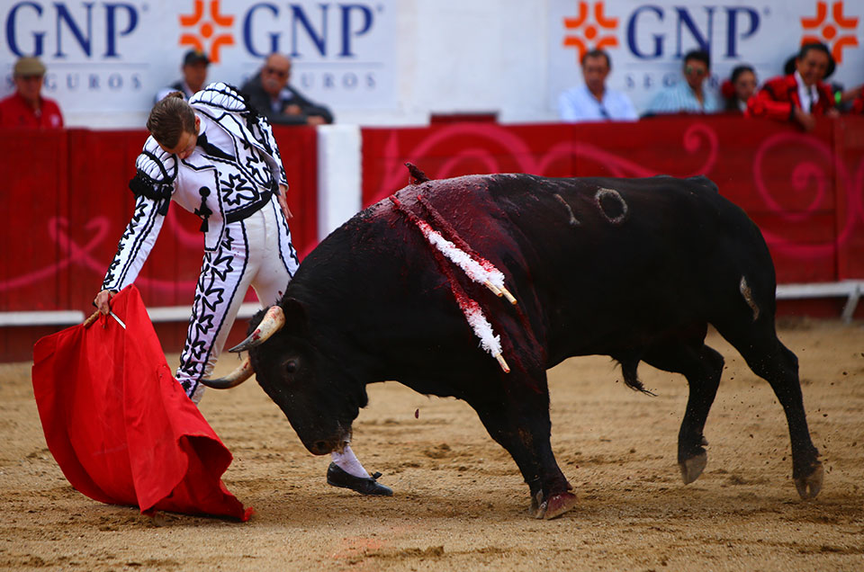 León (México). Corrida Cervantina. 26 de enero de 2019