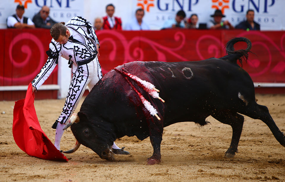 León (México). Corrida Cervantina. 26 de enero de 2019