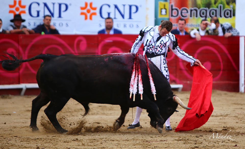León (México). Corrida Cervantina. 26 de enero de 2019