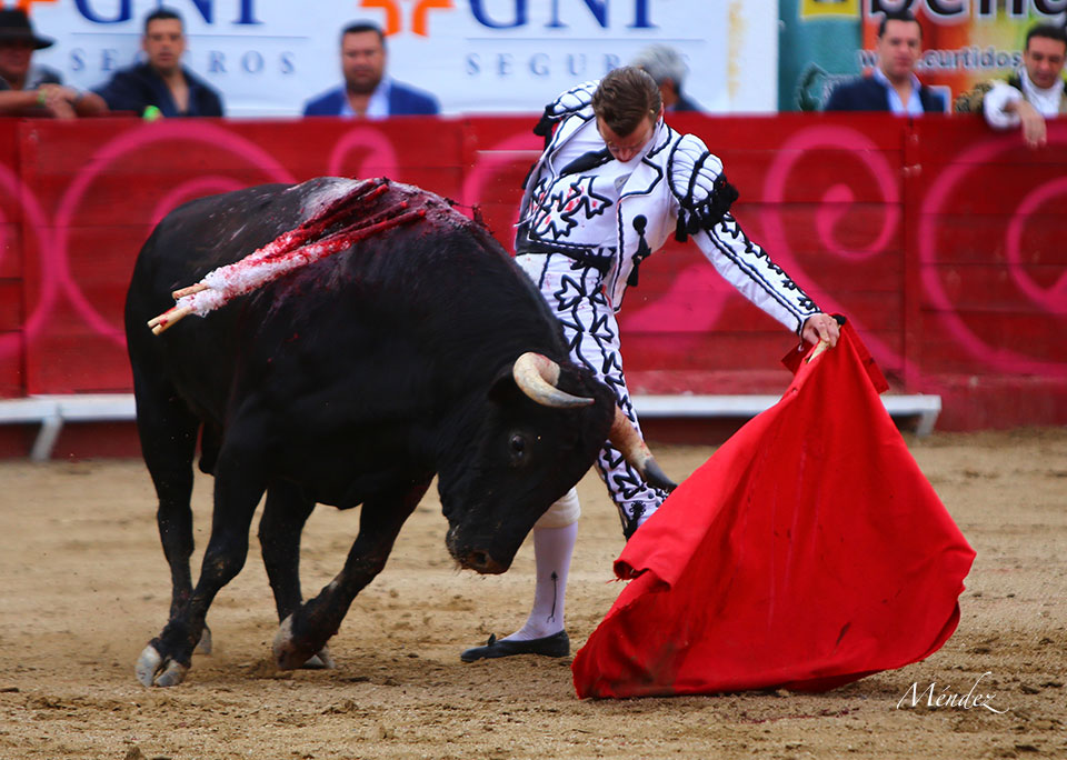 León (México). Corrida Cervantina. 26 de enero de 2019