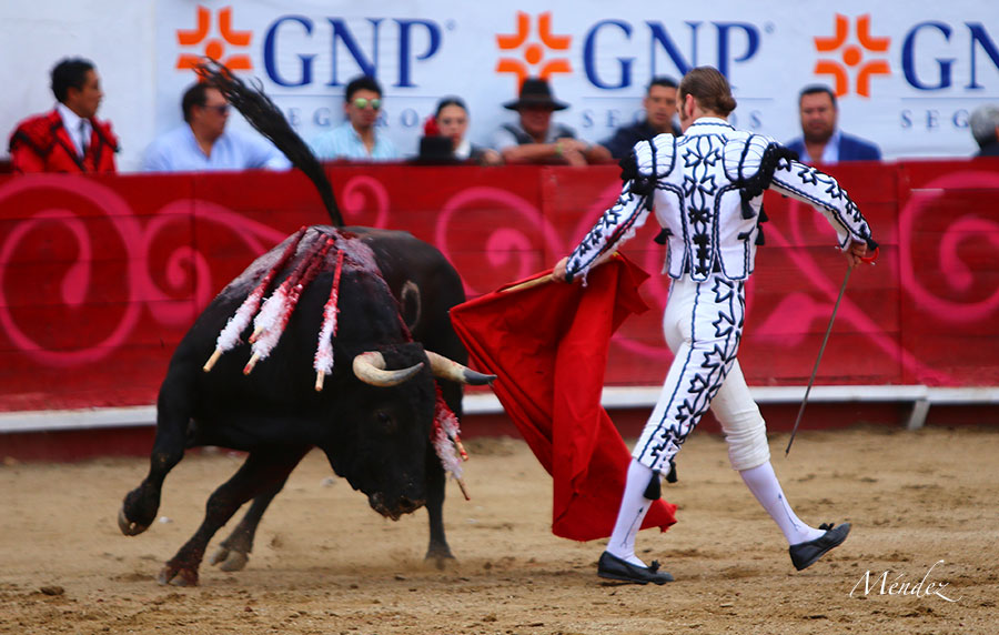 León (México). Corrida Cervantina. 26 de enero de 2019