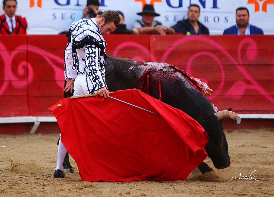 León (México). Corrida Cervantina. 26 de enero de 2019