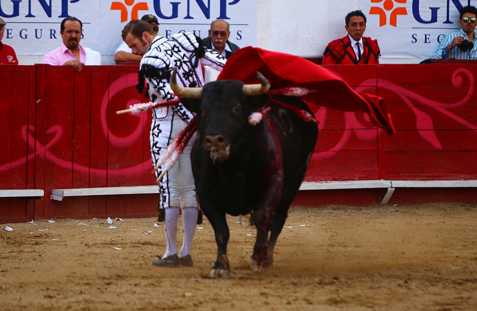 León (México). Corrida Cervantina. 26 de enero de 2019