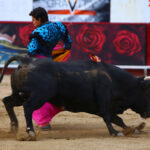 León (México). Corrida Cervantina. 26 de enero de 2019