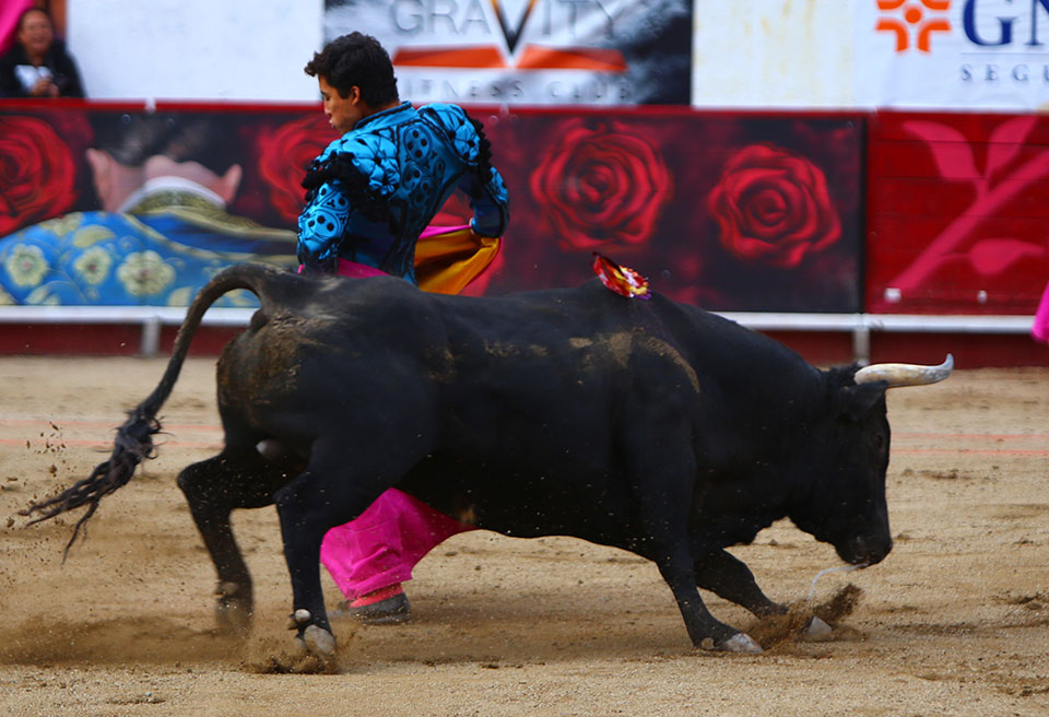 León (México). Corrida Cervantina. 26 de enero de 2019