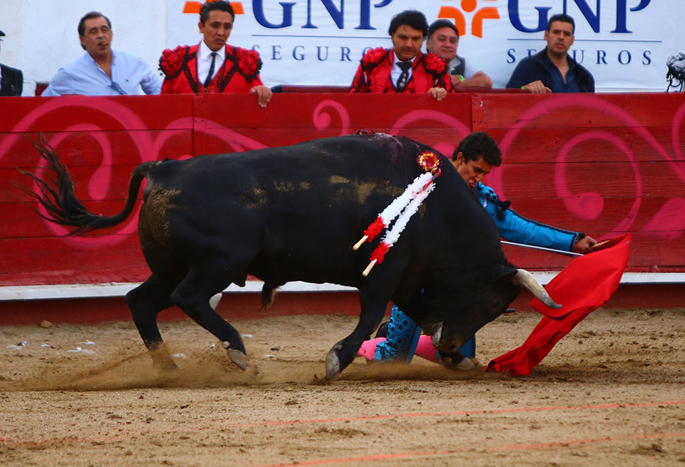 León (México). Corrida Cervantina. 26 de enero de 2019