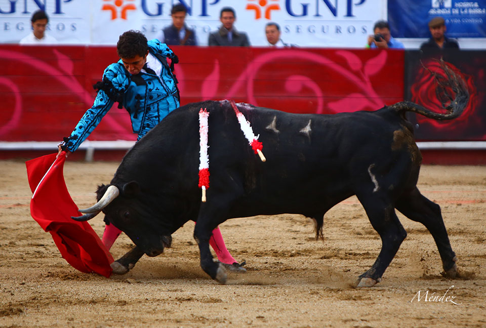 León (México). Corrida Cervantina. 26 de enero de 2019