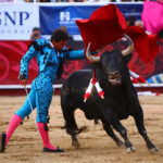 León (México). Corrida Cervantina. 26 de enero de 2019