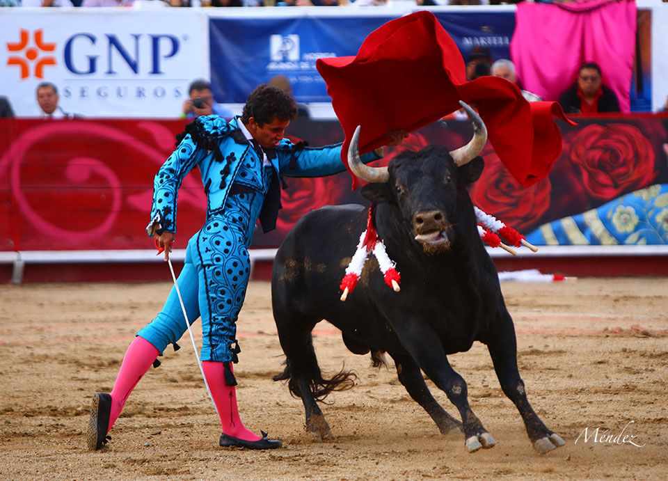 León (México). Corrida Cervantina. 26 de enero de 2019