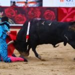 León (México). Corrida Cervantina. 26 de enero de 2019