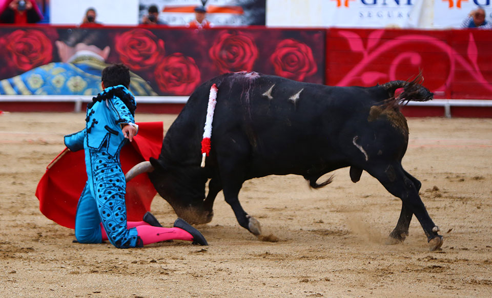 León (México). Corrida Cervantina. 26 de enero de 2019