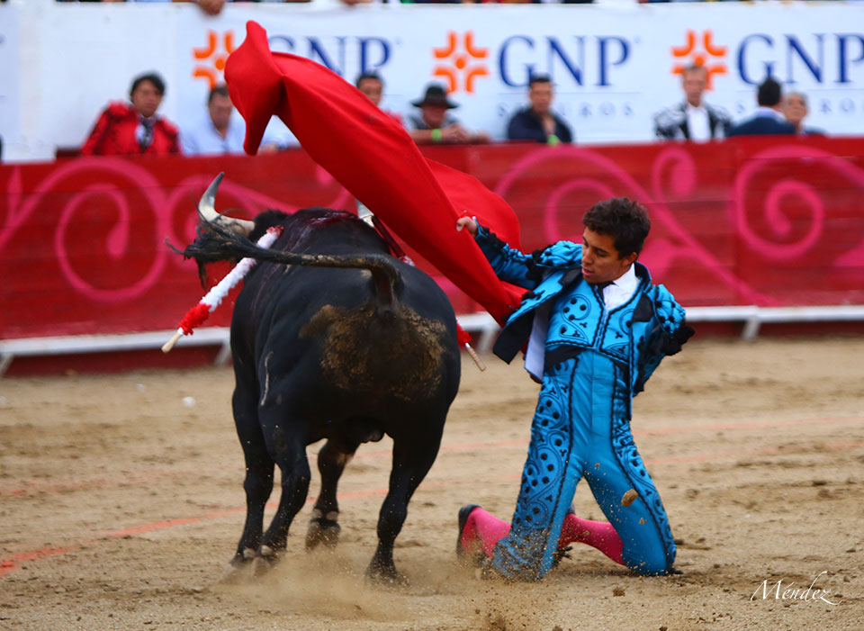 León (México). Corrida Cervantina. 26 de enero de 2019