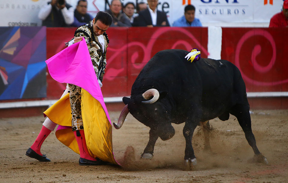 León (México). Corrida Cervantina. 26 de enero de 2019