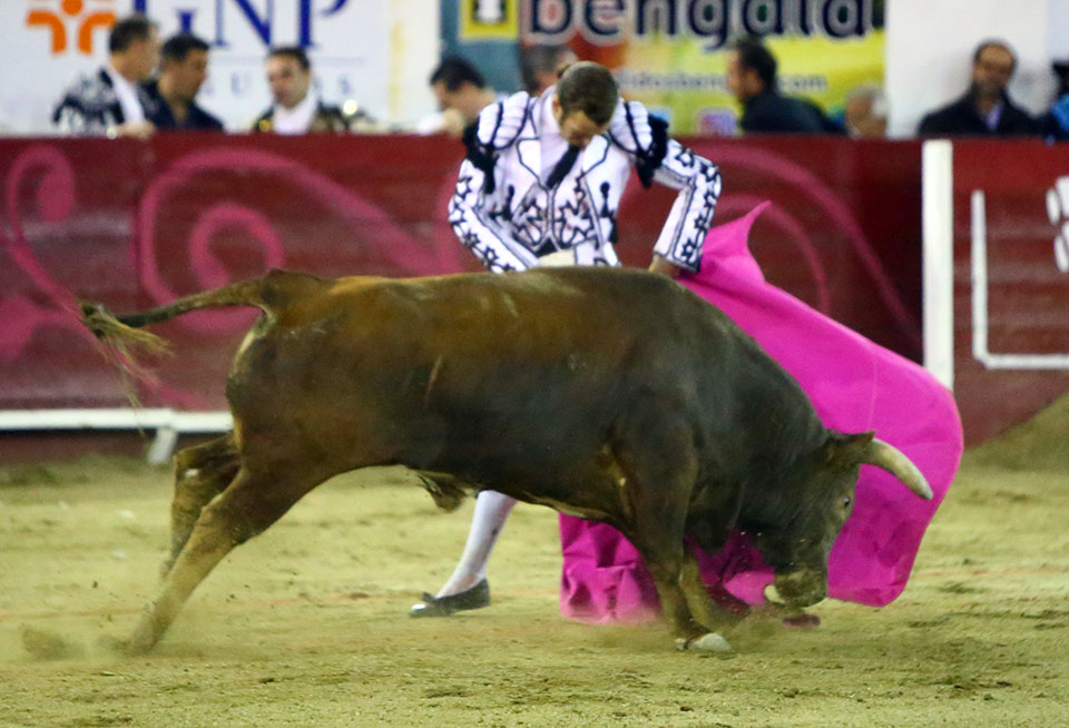León (México). Corrida Cervantina. 26 de enero de 2019