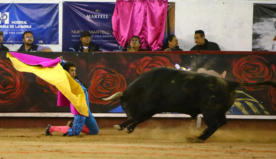 León (México). Corrida Cervantina. 26 de enero de 2019