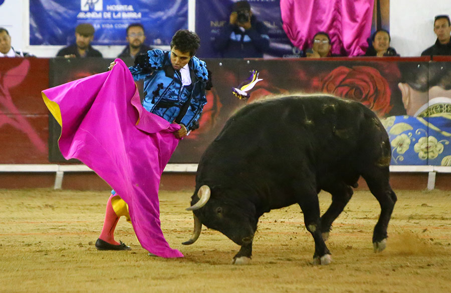 León (México). Corrida Cervantina. 26 de enero de 2019