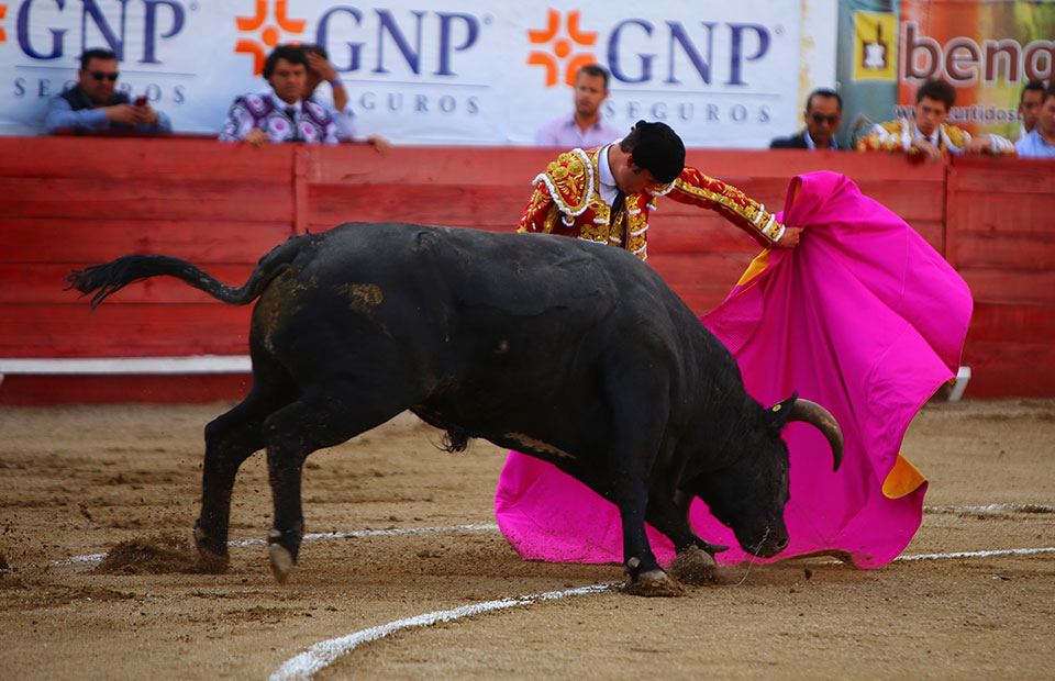 León (México) - Sábado 19 de enero de 2019 - Corrida de toros