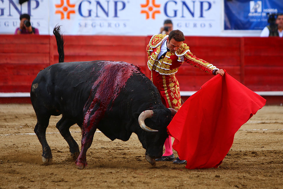 León (México) - Sábado 19 de enero de 2019 - Corrida de toros