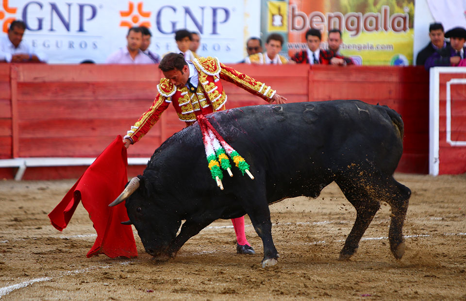 León (México) - Sábado 19 de enero de 2019 - Corrida de toros