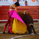 León (México) - Sábado 19 de enero de 2019 - Corrida de toros