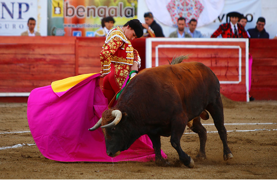 León (México) - Sábado 19 de enero de 2019 - Corrida de toros