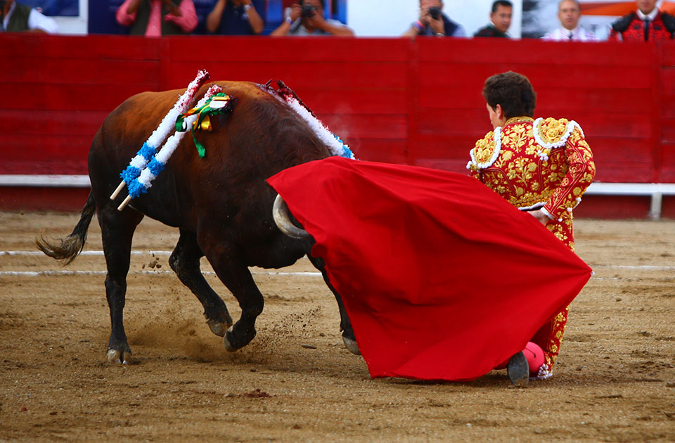 León (México) - Sábado 19 de enero de 2019 - Corrida de toros