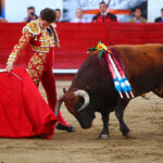 León (México) - Sábado 19 de enero de 2019 - Corrida de toros