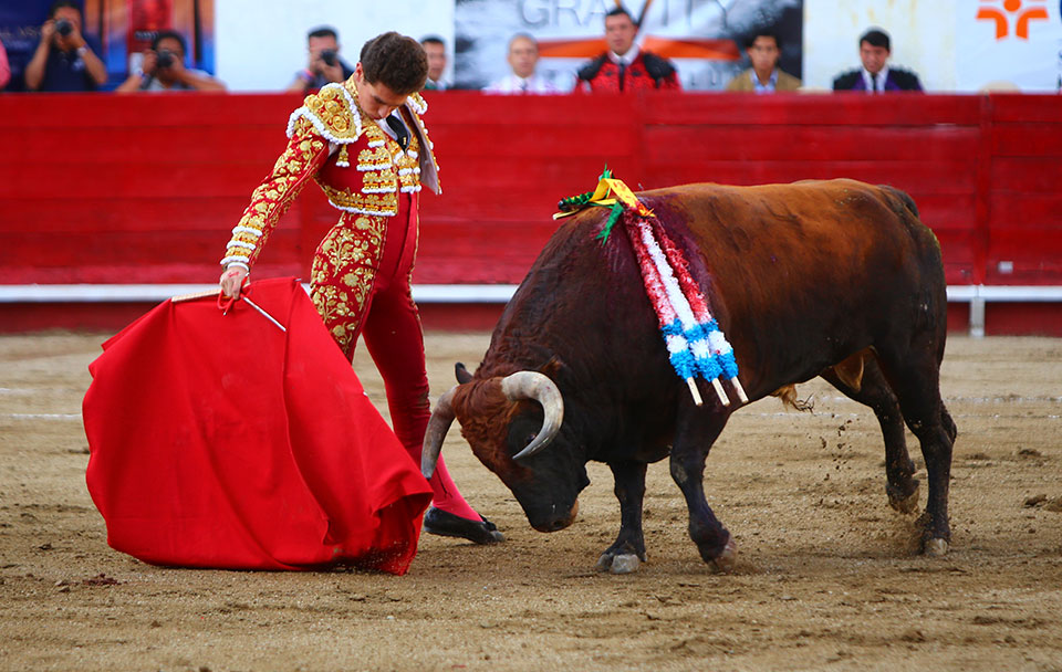 León (México) - Sábado 19 de enero de 2019 - Corrida de toros