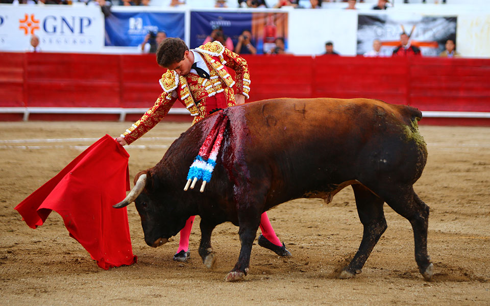 León (México) - Sábado 19 de enero de 2019 - Corrida de toros