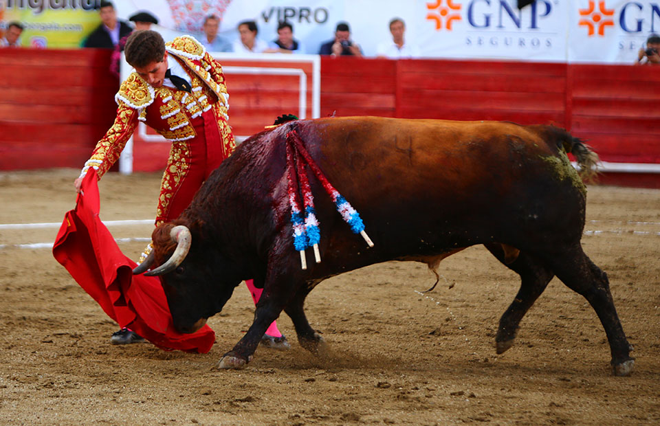 León (México) - Sábado 19 de enero de 2019 - Corrida de toros