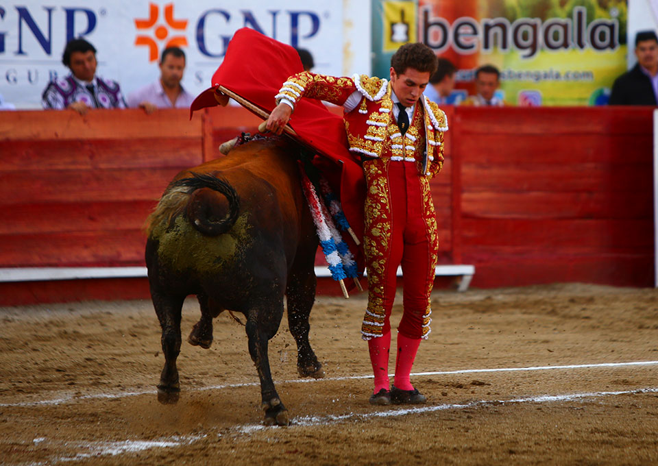 León (México) - Sábado 19 de enero de 2019 - Corrida de toros
