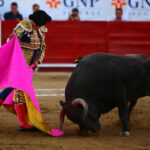 León (México) - Sábado 19 de enero de 2019 - Corrida de toros