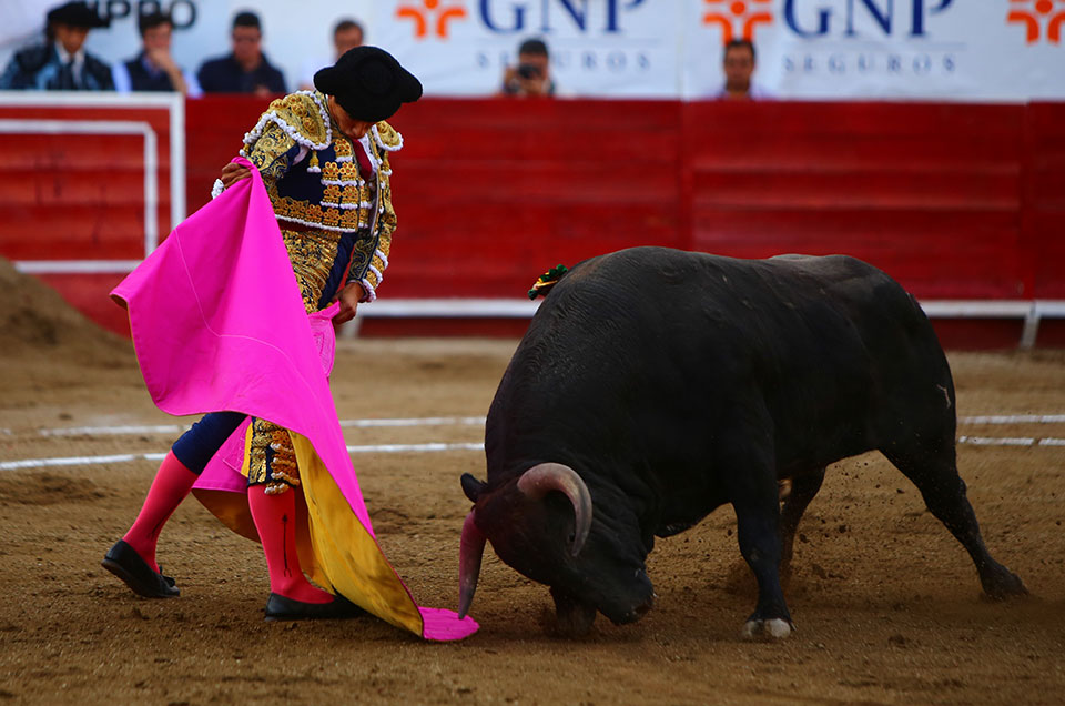 León (México) - Sábado 19 de enero de 2019 - Corrida de toros