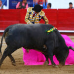 León (México) - Sábado 19 de enero de 2019 - Corrida de toros