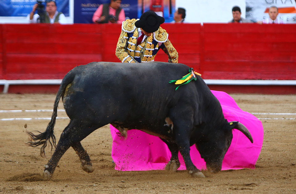 León (México) - Sábado 19 de enero de 2019 - Corrida de toros