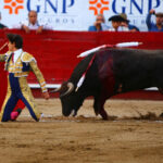 León (México) - Sábado 19 de enero de 2019 - Corrida de toros