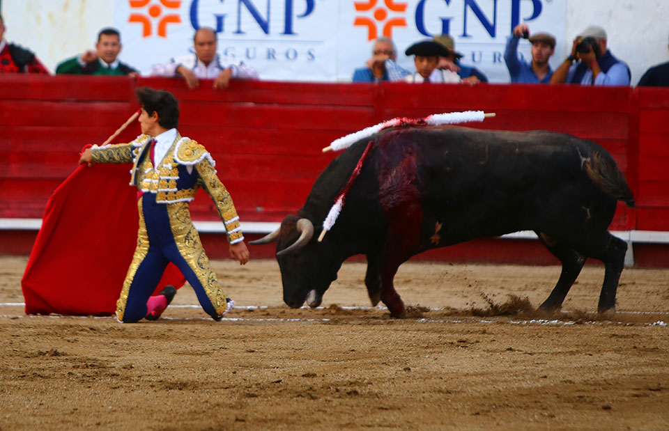 León (México) - Sábado 19 de enero de 2019 - Corrida de toros