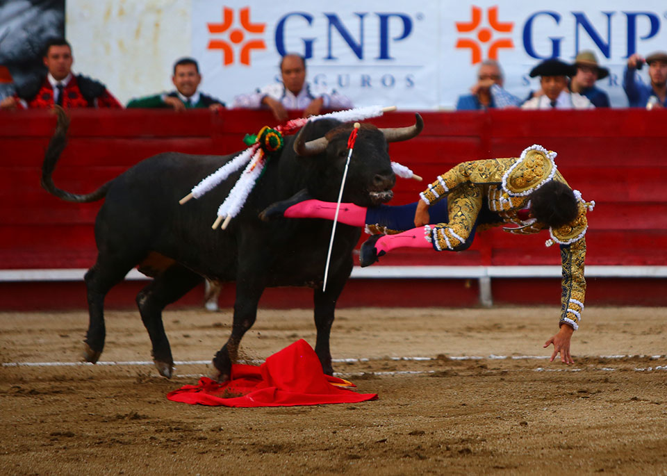 León (México) - Sábado 19 de enero de 2019 - Corrida de toros