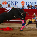 León (México) - Sábado 19 de enero de 2019 - Corrida de toros