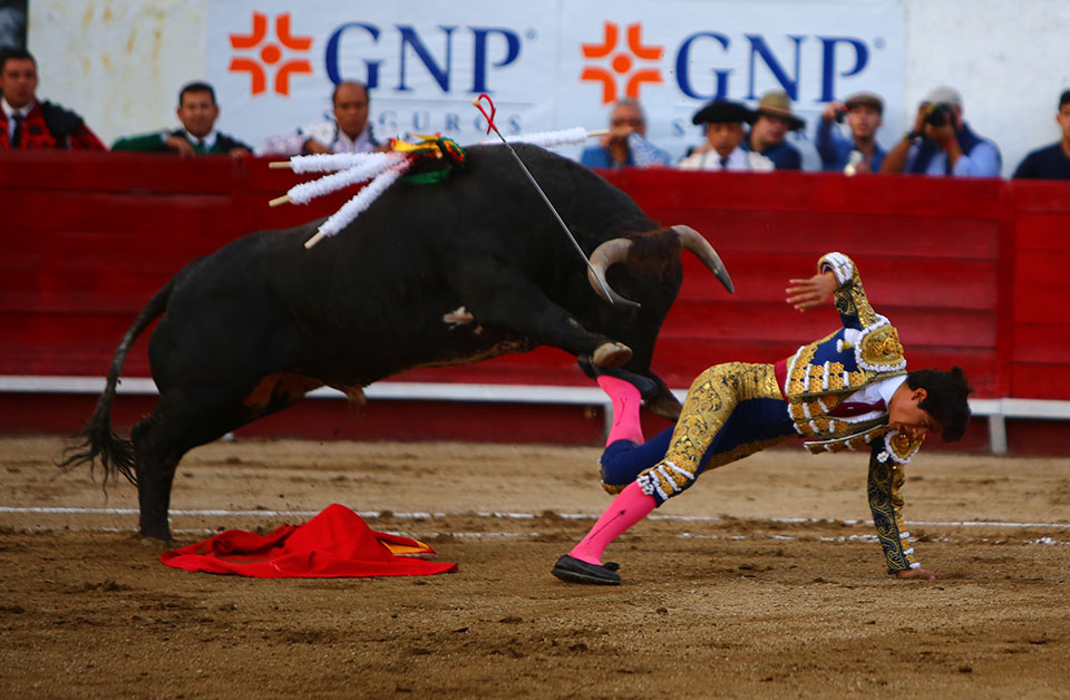 León (México) - Sábado 19 de enero de 2019 - Corrida de toros