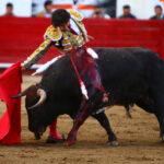 León (México) - Sábado 19 de enero de 2019 - Corrida de toros