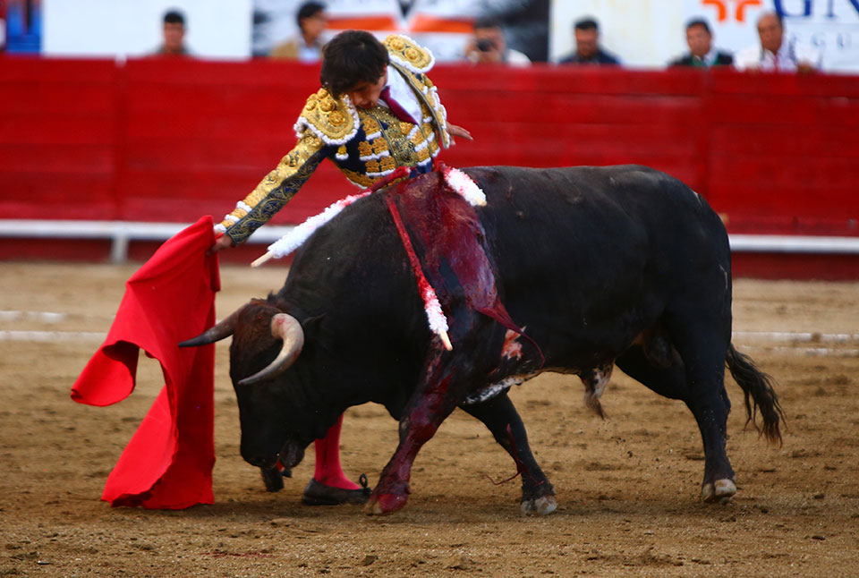 León (México) - Sábado 19 de enero de 2019 - Corrida de toros