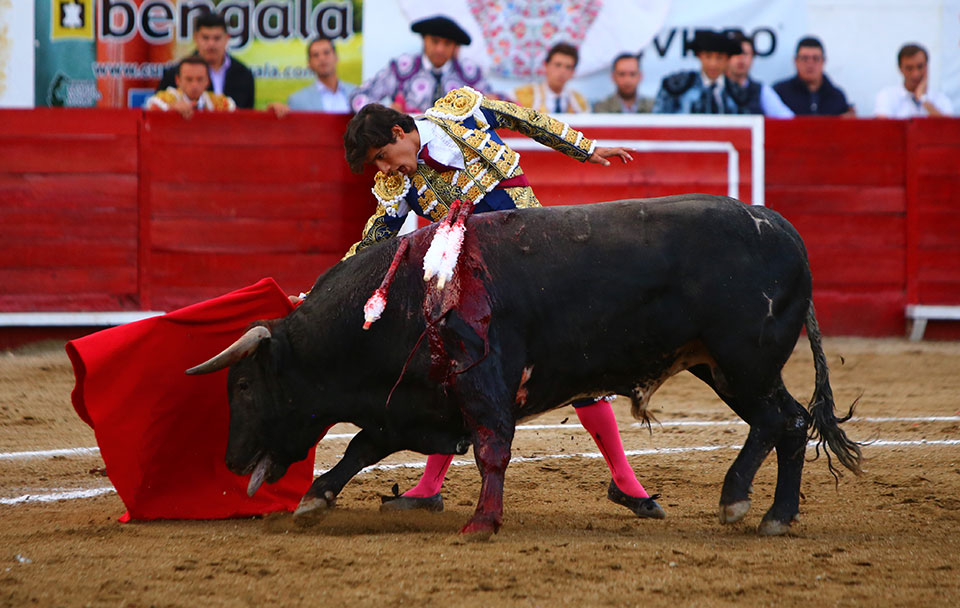 León (México) - Sábado 19 de enero de 2019 - Corrida de toros
