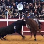 Puebla del Río (Sevilla) - Novillada sin picadores - Fiestas a San Sebastián 2019